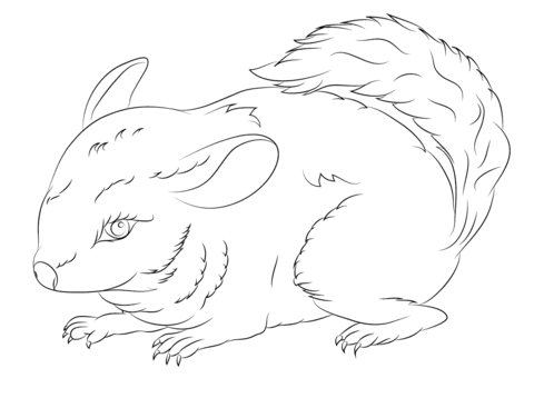 Cute Long Tailed Chinchilla Coloring Page